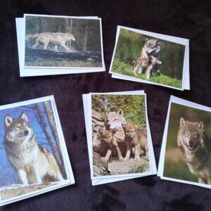 Free w/$15 - Wolf Stationary 13 Blank Cards 5 different photos